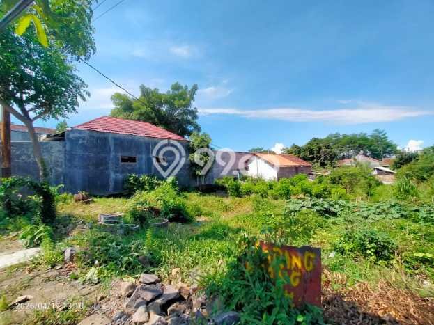 Tanah Kosong Dijual di Banyuwangi dengan Area 800m2 Tanah Kosong Dijual di Banyuwangi dengan Area 800m2