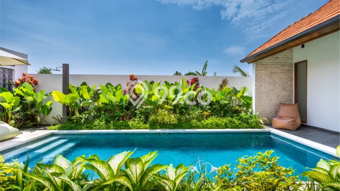 Hunian Elit LB 201m2 Siap Pakai Desain Elegan di Sanur, Denpasar Hunian Elit LB 201m2 Siap Pakai Desain Elegan di Sanur, Denpasar