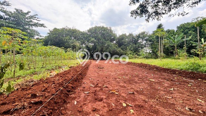 Tanah Dijual di Bekasi Seluas 142m2 Strategis Tanah Dijual di Bekasi Seluas 142m2 Strategis