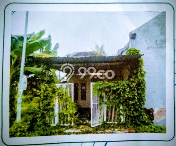 Rumah Murah LT 75m2 di Medokan Ayu Lingkungan Asri Rumah Murah LT 75m2 di Medokan Ayu Lingkungan Asri