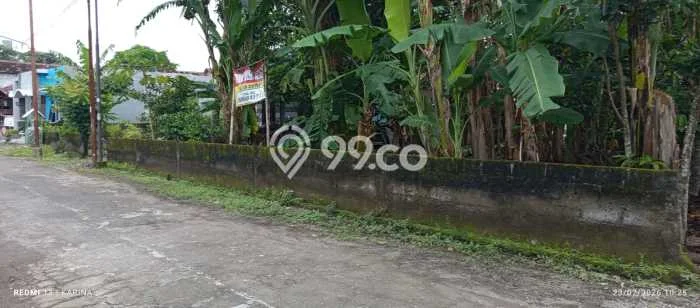 Tanah Investasi Disewakan di Kasihan, Bantul, Luas 295m2 Tanah Investasi Disewakan di Kasihan, Bantul, Luas 295m2