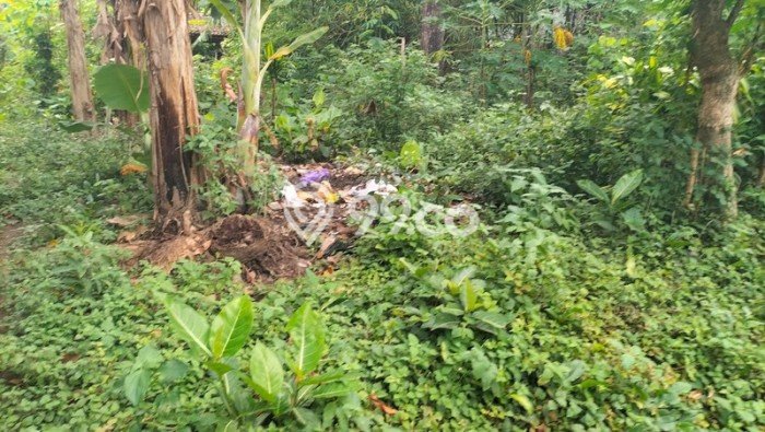 Jual Tanah Kawasan Ngaglik, Luas 571m2m², Kawasan Nyaman, Kontur Datar Jual Tanah Kawasan Ngaglik, Luas 571m2m², Kawasan Nyaman, Kontur Datar