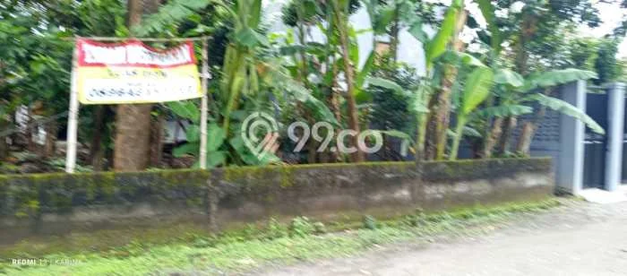 Tanah Investasi Disewakan di Kasihan, Bantul, Luas 295m2 Tanah Investasi Disewakan di Kasihan, Bantul, Luas 295m2
