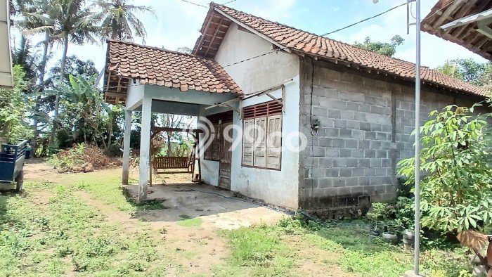 HARGA MENARIK! Tanah Kawasan Mlati, Luas 620m2m², Lokasi Potensial, Bebas Banjir HARGA MENARIK! Tanah Kawasan Mlati, Luas 620m2m², Lokasi Potensial, Bebas Banjir