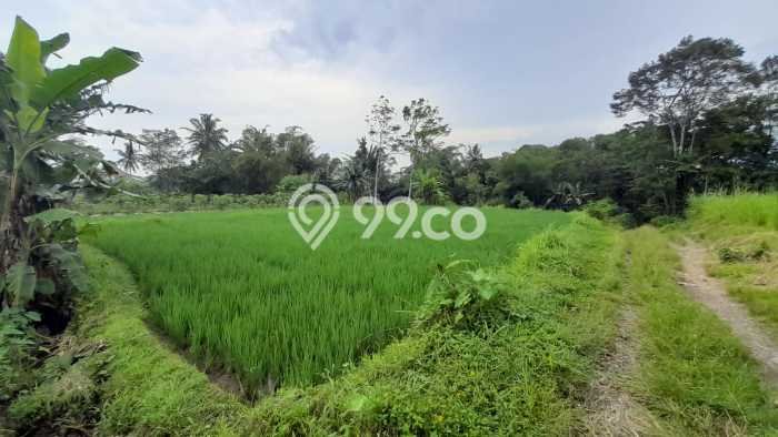 Untuk Dijual Tanah 2244m2 di Sleman, Yogyakarta Untuk Dijual Tanah 2244m2 di Sleman, Yogyakarta