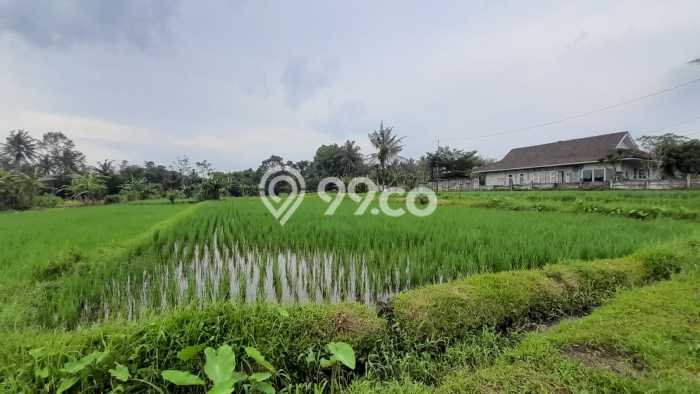 Untuk Dijual Tanah 2244m2 di Sleman, Yogyakarta Untuk Dijual Tanah 2244m2 di Sleman, Yogyakarta