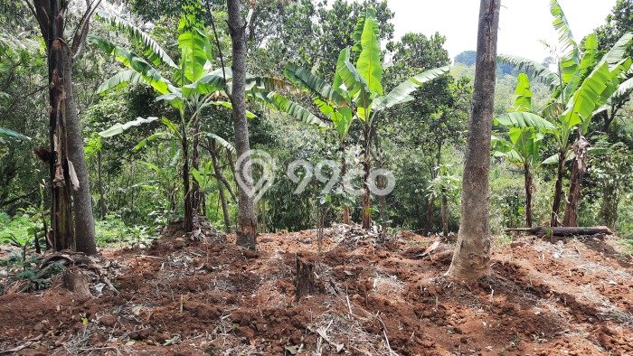 Tanah Lokasi Strategis Kawasan Cibiru, Luas 463m², Akses ke Fasilitas Tanah Lokasi Strategis Kawasan Cibiru, Luas 463m², Akses ke Fasilitas