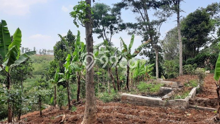 Tanah Lokasi Strategis Kawasan Cibiru, Luas 463m², Akses ke Fasilitas Tanah Lokasi Strategis Kawasan Cibiru, Luas 463m², Akses ke Fasilitas