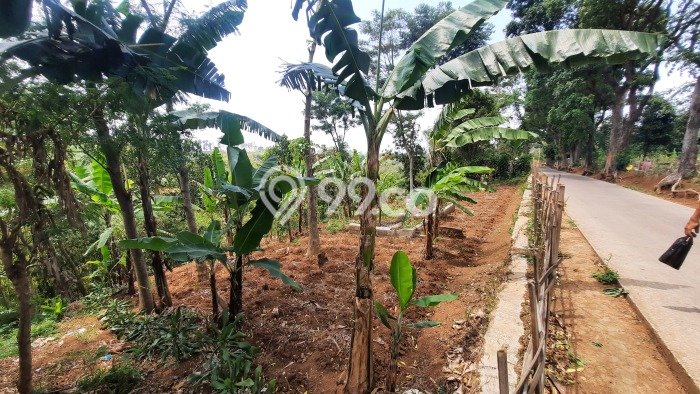 Tanah Potensial Kawasan Cibiru, Luas 463m², Pinggir Jalan Tanah Potensial Kawasan Cibiru, Luas 463m², Pinggir Jalan