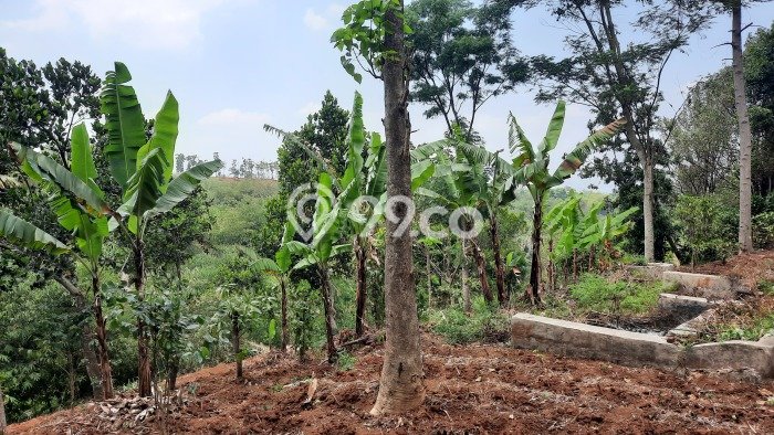 Tanah Potensial Kawasan Cibiru, Luas 463m², Pinggir Jalan Tanah Potensial Kawasan Cibiru, Luas 463m², Pinggir Jalan