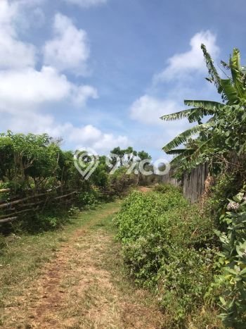Tanah Disewa di Pecatu Strategis dan Memiliki Luas 98300m2 Tanah Disewa di Pecatu Strategis dan Memiliki Luas 98300m2