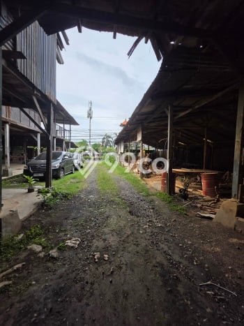 Untuk Disewa Tanah di Badung, Luas 1000m2 Area Berkembang Untuk Disewa Tanah di Badung, Luas 1000m2 Area Berkembang