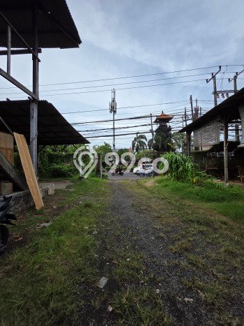 Jarang Ada! Tanah Kavling Disewakan di Badung 1000m2 Jarang Ada! Tanah Kavling Disewakan di Badung 1000m2