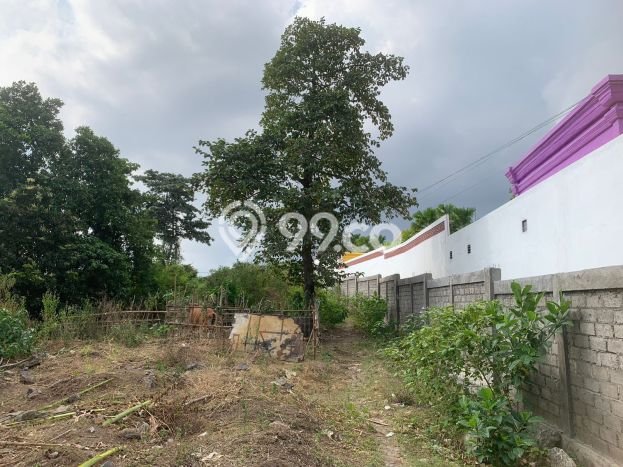 Tanah Dijual di Badung Seluas 17000m2 Strategis Tanah Dijual di Badung Seluas 17000m2 Strategis