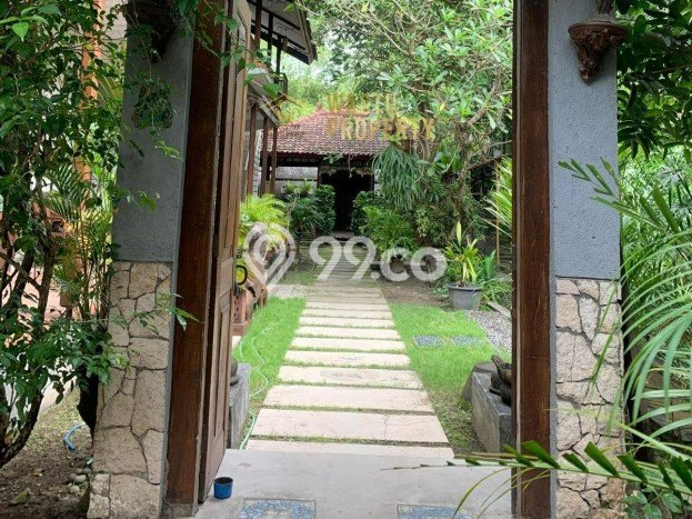 Vila Terawat Kawasan Kasihan, Ukuran 900m2m², Posisi Premium dengan jalan bagus Vila Terawat Kawasan Kasihan, Ukuran 900m2m², Posisi Premium dengan jalan bagus