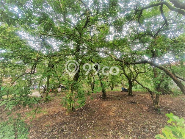Kavling Tanah untuk Dijual di Rangkapanjaya, Depok, Luas 2600m2 Kavling Tanah untuk Dijual di Rangkapanjaya, Depok, Luas 2600m2