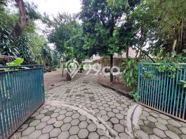 Untuk Dijual Tanah di Sleman, Luas 4820m2 SHM Untuk Dijual Tanah di Sleman, Luas 4820m2 SHM