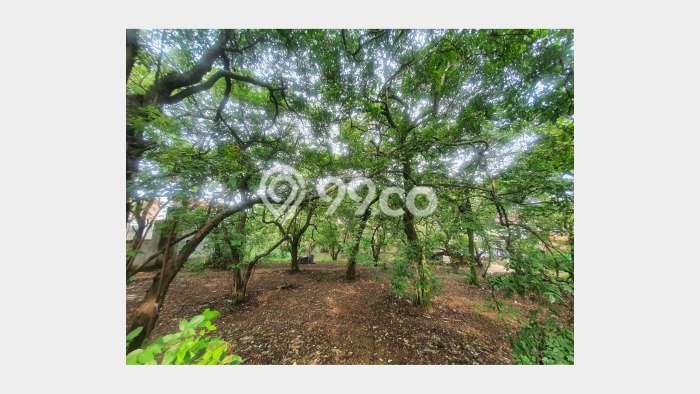 Lahan Dijual Lokasi Strategis di Depok dengan Luas 2600m2 Lahan Dijual Lokasi Strategis di Depok dengan Luas 2600m2