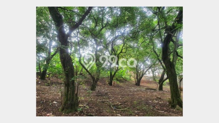 Tanah Kavling Dijual di Depok dengan Spesifikasi 2600m2 Tanah Kavling Dijual di Depok dengan Spesifikasi 2600m2