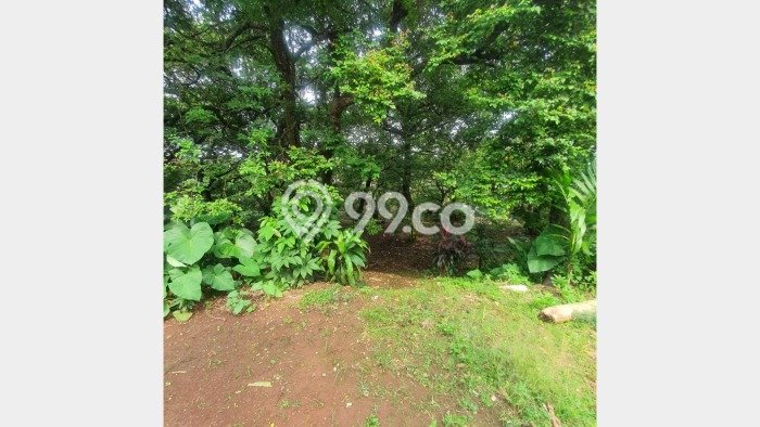Tanah Kavling Dijual di Depok dengan Spesifikasi 2600m2 Tanah Kavling Dijual di Depok dengan Spesifikasi 2600m2