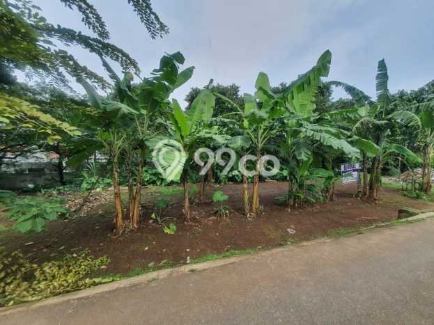Tanah Kavling Dijual di Depok dengan Spesifikasi 2600m2 Tanah Kavling Dijual di Depok dengan Spesifikasi 2600m2