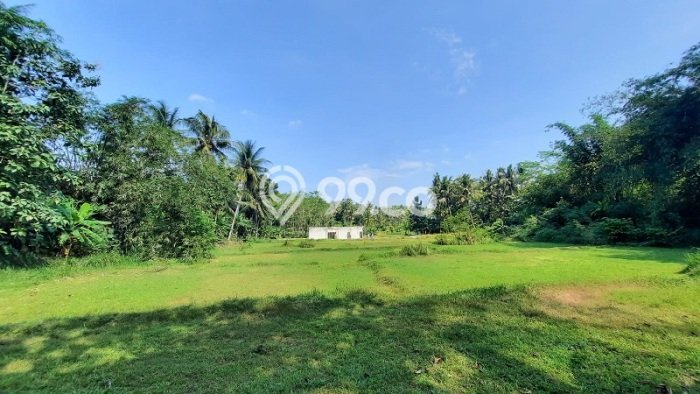 Tanah untuk Dijual di Nanggulan Kulon Progo Luas 120m2 Tanah untuk Dijual di Nanggulan Kulon Progo Luas 120m2