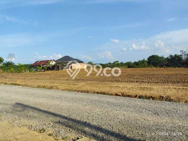 Tanah Strategis Dijual di Jambi Luar Kota Muaro Jambi 195m2 Tanah Strategis Dijual di Jambi Luar Kota Muaro Jambi 195m2