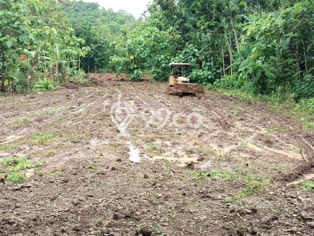Lahan Dijual Lokasi Strategis di Bantul dengan Luas 115m2 Lahan Dijual Lokasi Strategis di Bantul dengan Luas 115m2