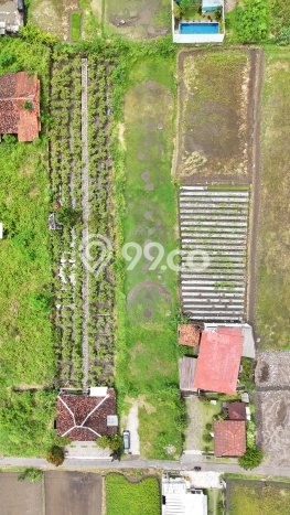 Untuk Dijual Tanah di Ngaglik Sleman Luas 153m2 SHM Untuk Dijual Tanah di Ngaglik Sleman Luas 153m2 SHM