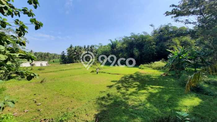 Kavling Tanah Dijual di Nanggulan Kulon Progo Spesifikasi 105m2 Kavling Tanah Dijual di Nanggulan Kulon Progo Spesifikasi 105m2