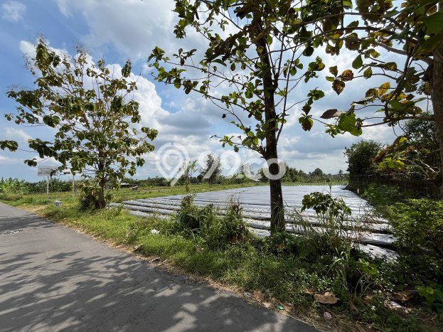 Tanah untuk Dijual di Ngaglik Sleman Luas 295m2 Tanah untuk Dijual di Ngaglik Sleman Luas 295m2