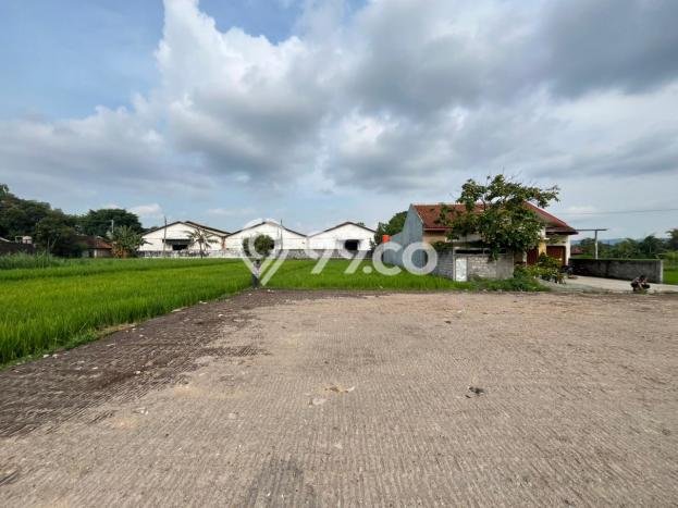 Kavling Tanah Dijual di Berbah Sleman Spesifikasi 134m2 Kavling Tanah Dijual di Berbah Sleman Spesifikasi 134m2