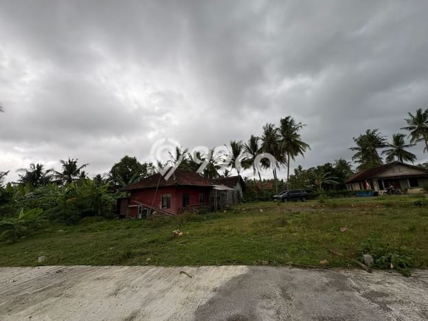 Tanah Dijual Lokasi Pengasih, Kulon Progo Luas 122m2 Legalitas Aman Tanah Dijual Lokasi Pengasih, Kulon Progo Luas 122m2 Legalitas Aman
