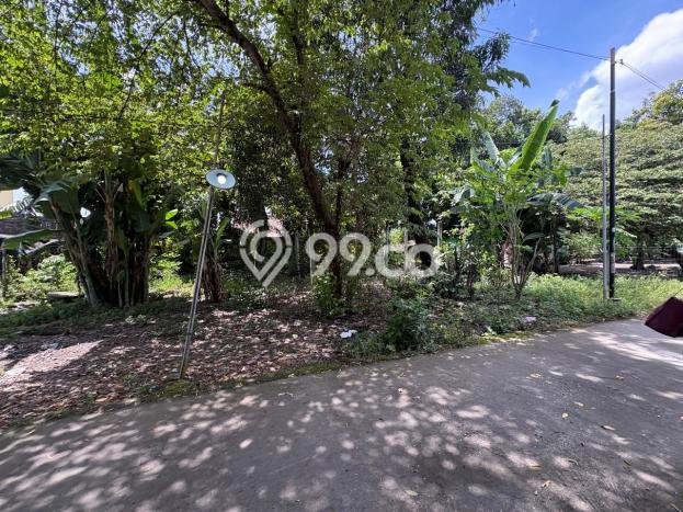 Lahan untuk Dijual Lokasi Banguntapan, Bantul Luas 127m2 SHM Lahan untuk Dijual Lokasi Banguntapan, Bantul Luas 127m2 SHM