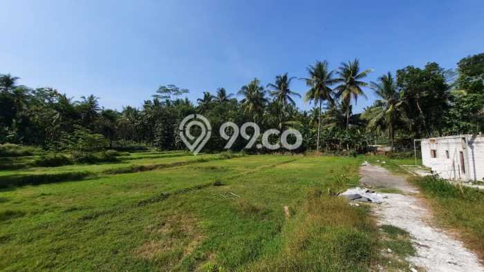 Untuk Dijual Tanah di Nanggulan Kulon Progo Luas 136m2 SHM Untuk Dijual Tanah di Nanggulan Kulon Progo Luas 136m2 SHM