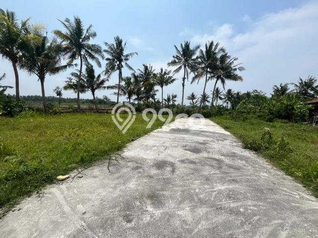 Dijual Cepat Rumah Bagus Siap Huni LB 70m2 di Pengasih, Kulon Progo Dijual Cepat Rumah Bagus Siap Huni LB 70m2 di Pengasih, Kulon Progo
