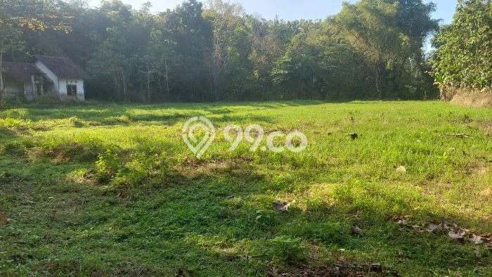 Tanah Dijual Lokasi Kasihan, Bantul dengan Luas Tanah 107m2 dan Status SHM Tanah Dijual Lokasi Kasihan, Bantul dengan Luas Tanah 107m2 dan Status SHM