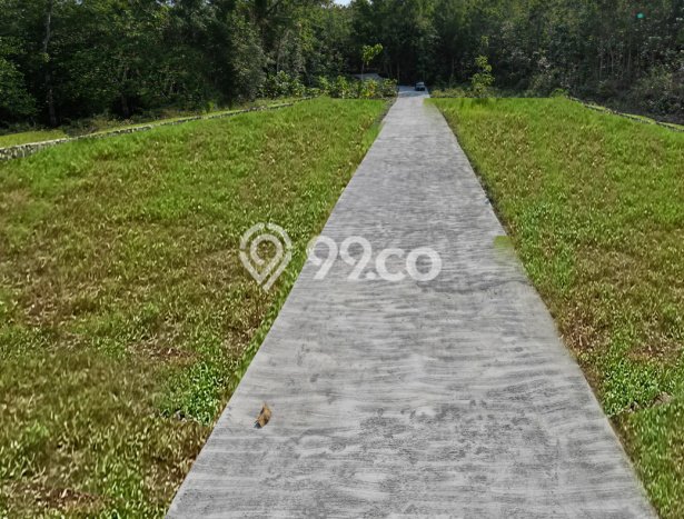 Lahan untuk Dijual Lokasi Pengasih, Kulon Progo Luas 95m2 SHM Lahan untuk Dijual Lokasi Pengasih, Kulon Progo Luas 95m2 SHM