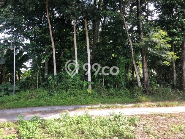Jarang Ada! Tanah di Ngaglik Punya Luas 262m2 SHM Jarang Ada! Tanah di Ngaglik Punya Luas 262m2 SHM