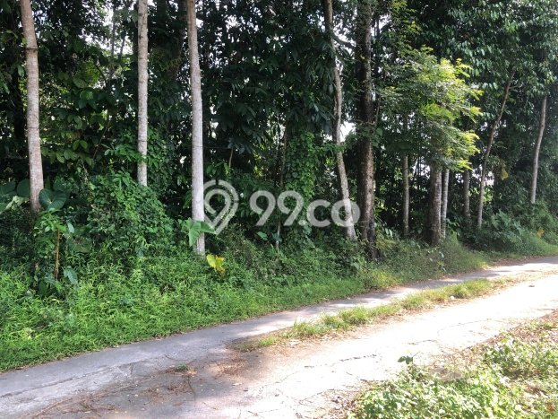 Tanah Strategis Dijual di Ngaglik Sleman 262m2 Tanah Strategis Dijual di Ngaglik Sleman 262m2