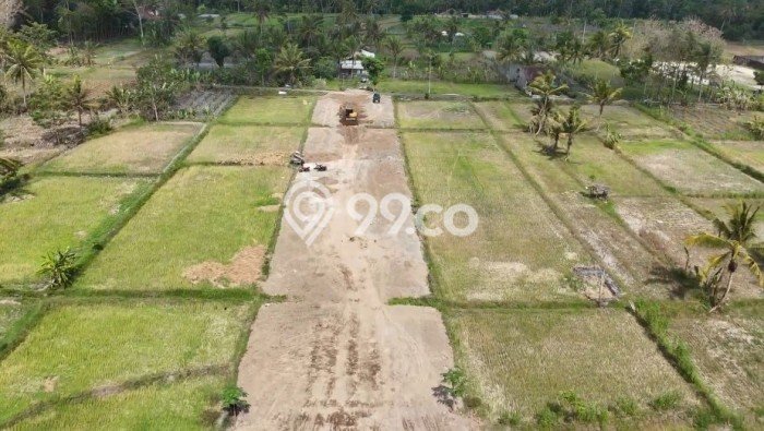 Tanah Dijual Lokasi Ngaglik Sleman SHM Tanah Dijual Lokasi Ngaglik Sleman SHM