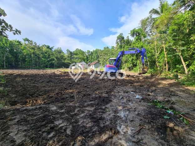 Tanah Kosong Dijual di Bantul dengan Area 116m2 Tanah Kosong Dijual di Bantul dengan Area 116m2