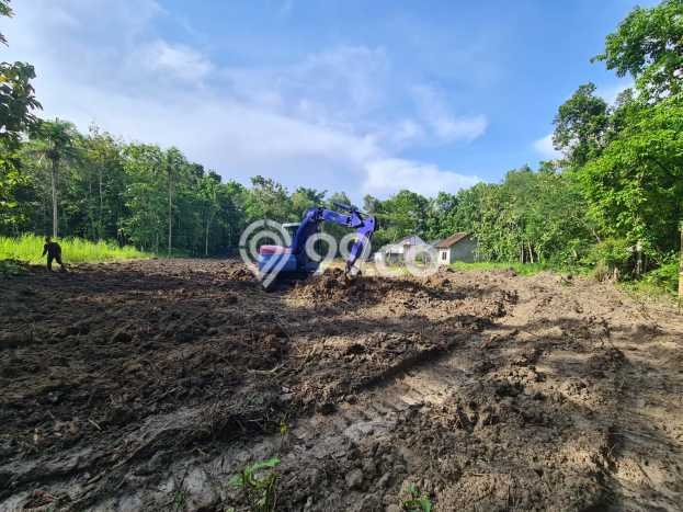 Tanah Strategis Dijual di Bantul Bantul 116m2 Tanah Strategis Dijual di Bantul Bantul 116m2