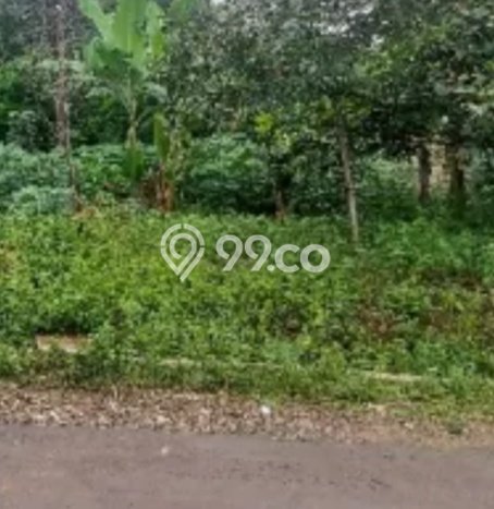For Sale Tanah Kawasan Gunung Pati, Luas 244m², Area Berkembang For Sale Tanah Kawasan Gunung Pati, Luas 244m², Area Berkembang