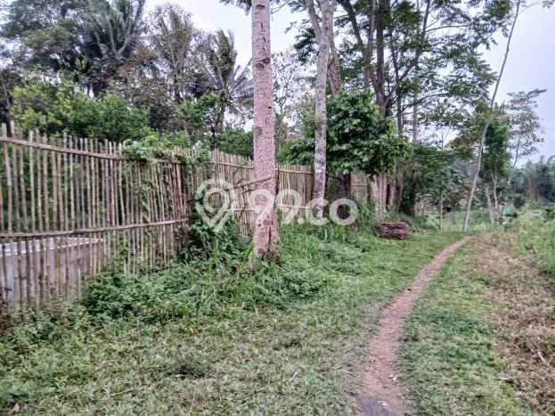 Kavling Tanah di Bululawang Dijual Luas 12358m2 Legalitas SHM Kavling Tanah di Bululawang Dijual Luas 12358m2 Legalitas SHM