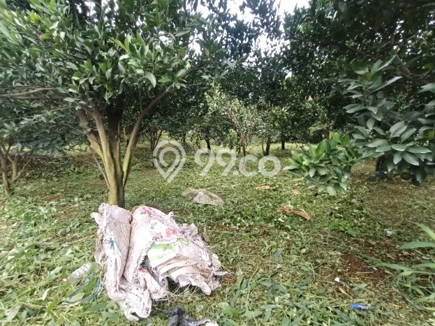 Kavling Tanah Dijual di Dau, Malang, Luas 4000m2 Area Strategis Kavling Tanah Dijual di Dau, Malang, Luas 4000m2 Area Strategis