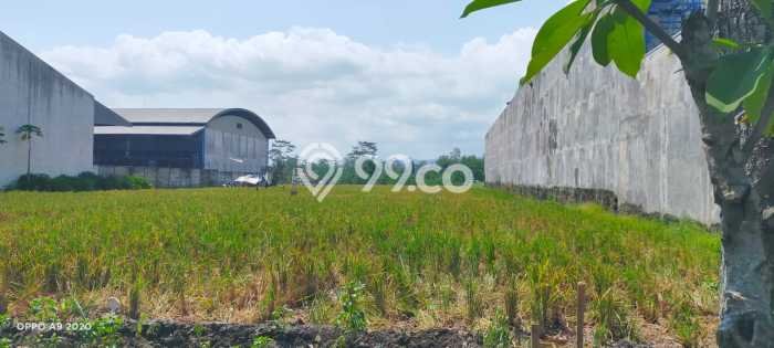 Tanah Strategis Dijual di Pakisaji Malang 6110m2 Tanah Strategis Dijual di Pakisaji Malang 6110m2