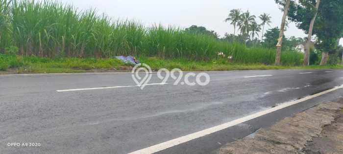 Tanah di Pakisaji, Malang Luas 49111m2 Dijual Segera Tanah di Pakisaji, Malang Luas 49111m2 Dijual Segera