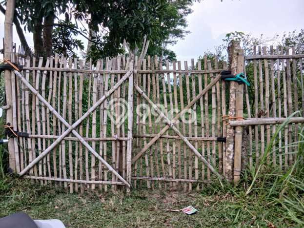 Kavling Tanah di Bululawang Dijual Luas 12358m2 Legalitas SHM Kavling Tanah di Bululawang Dijual Luas 12358m2 Legalitas SHM