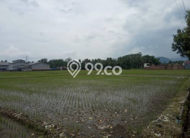 Tanah di Pakisaji, Luas 3300m2m², Lokasi Potensial, Kawasan Asri, Bebas Banjir Tanah di Pakisaji, Luas 3300m2m², Lokasi Potensial, Kawasan Asri, Bebas Banjir